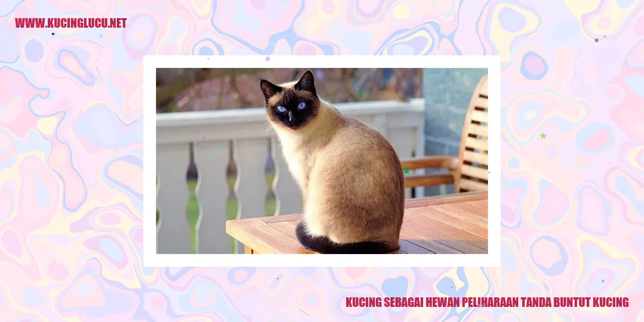 Kucing sebagai Hewan Piaraan