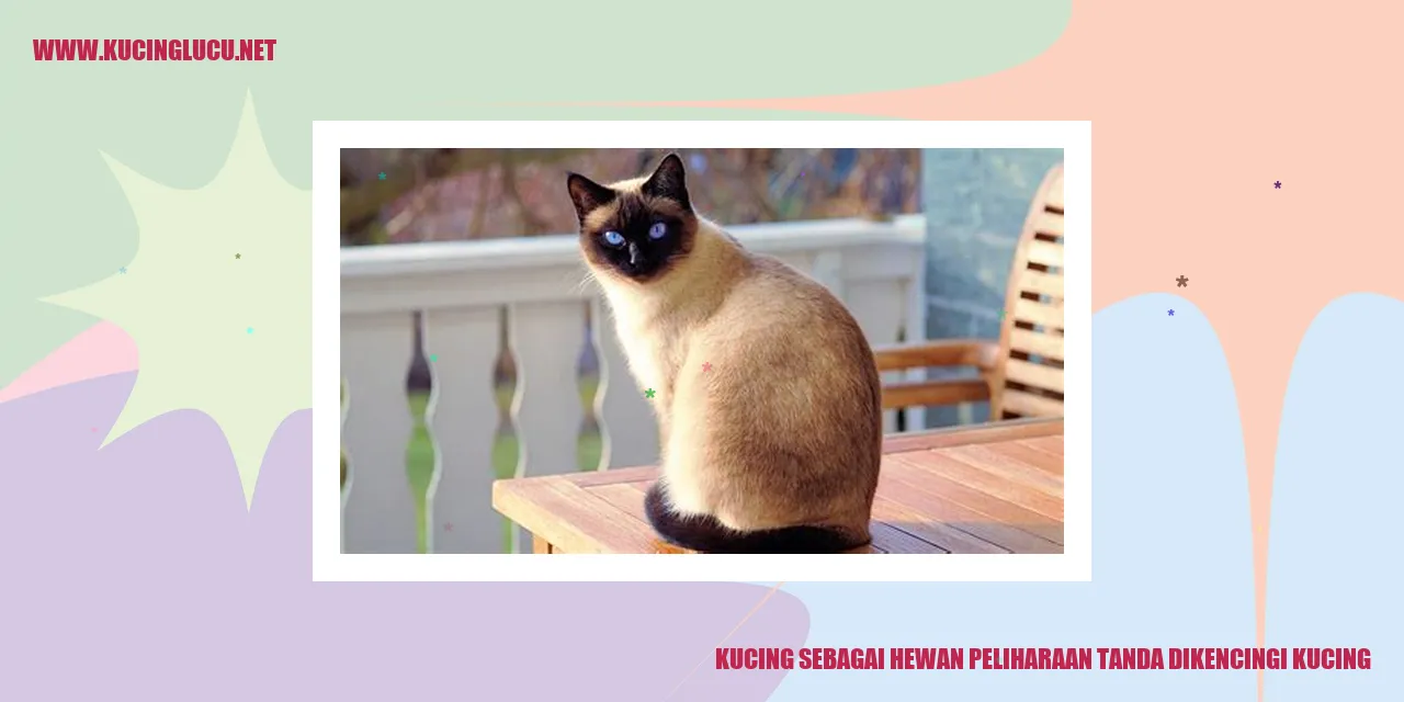 Kucing sebagai Hewan Peliharaan tanda dikencingi kucing