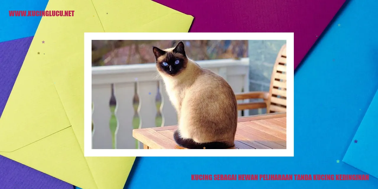 Kucing peliharaan