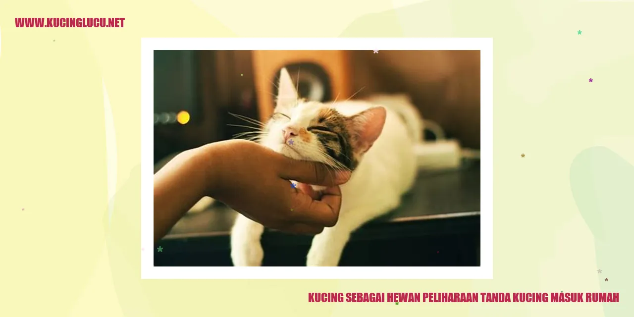 Kucing sebagai Hewan Peliharaan tanda kucing masuk rumah