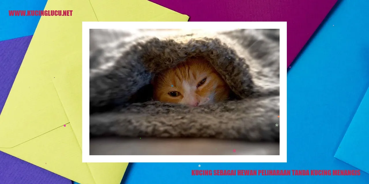 Gambar Kucing