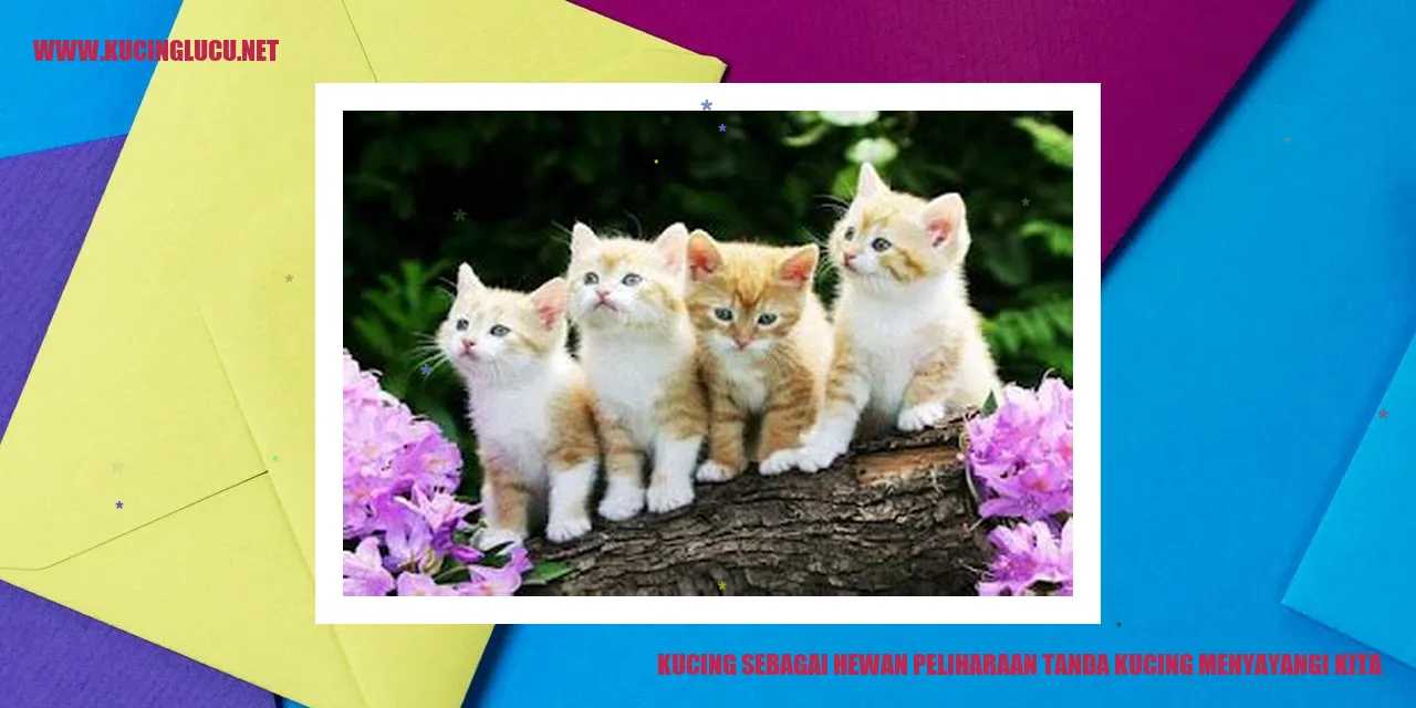 Kucing Peliharaan