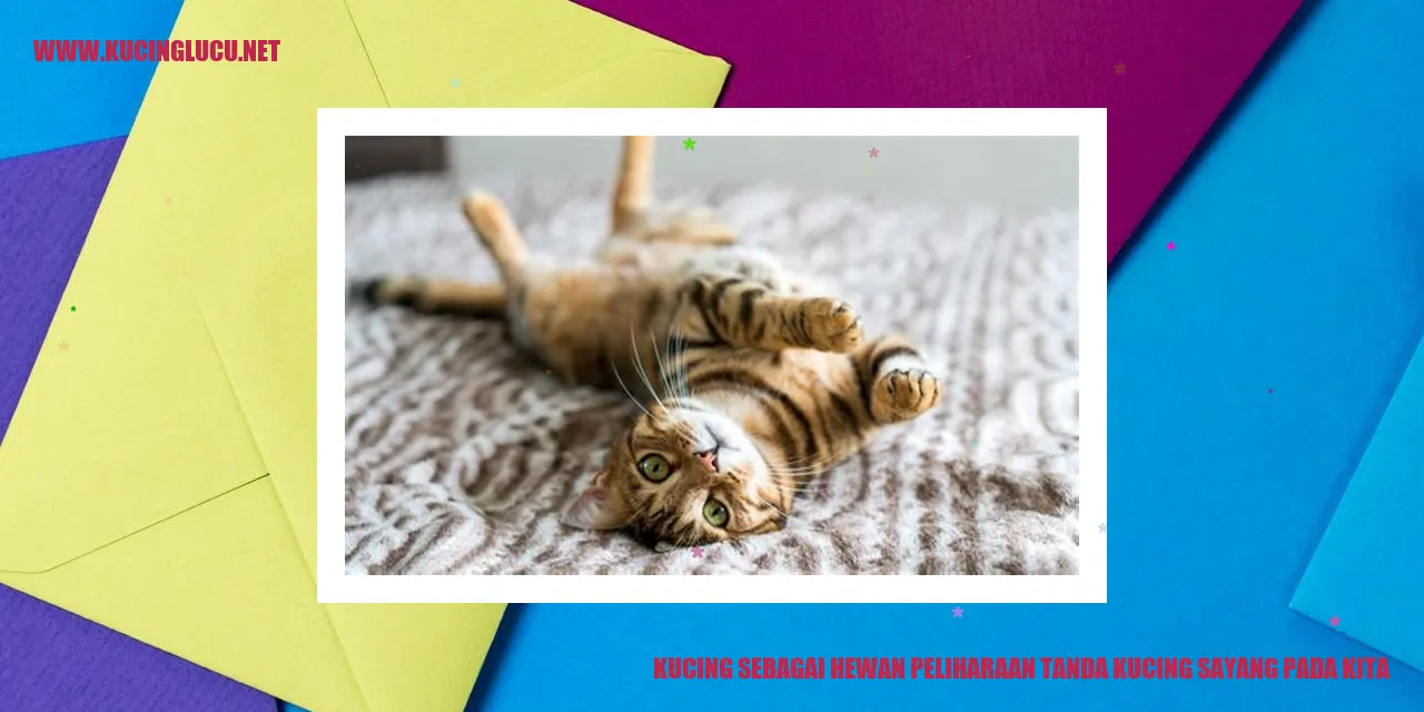 Kucing sebagai Hewan Peliharaan tanda kucing sayang pada kita