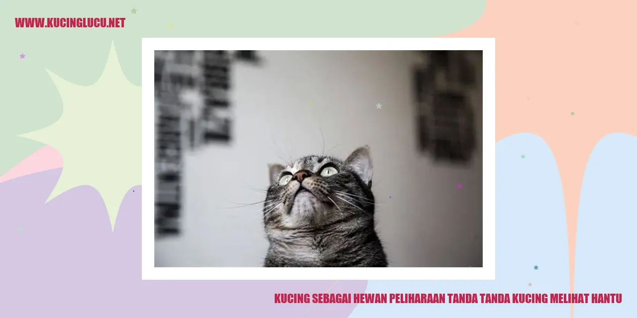 Kucing sebagai Hewan Peliharaan