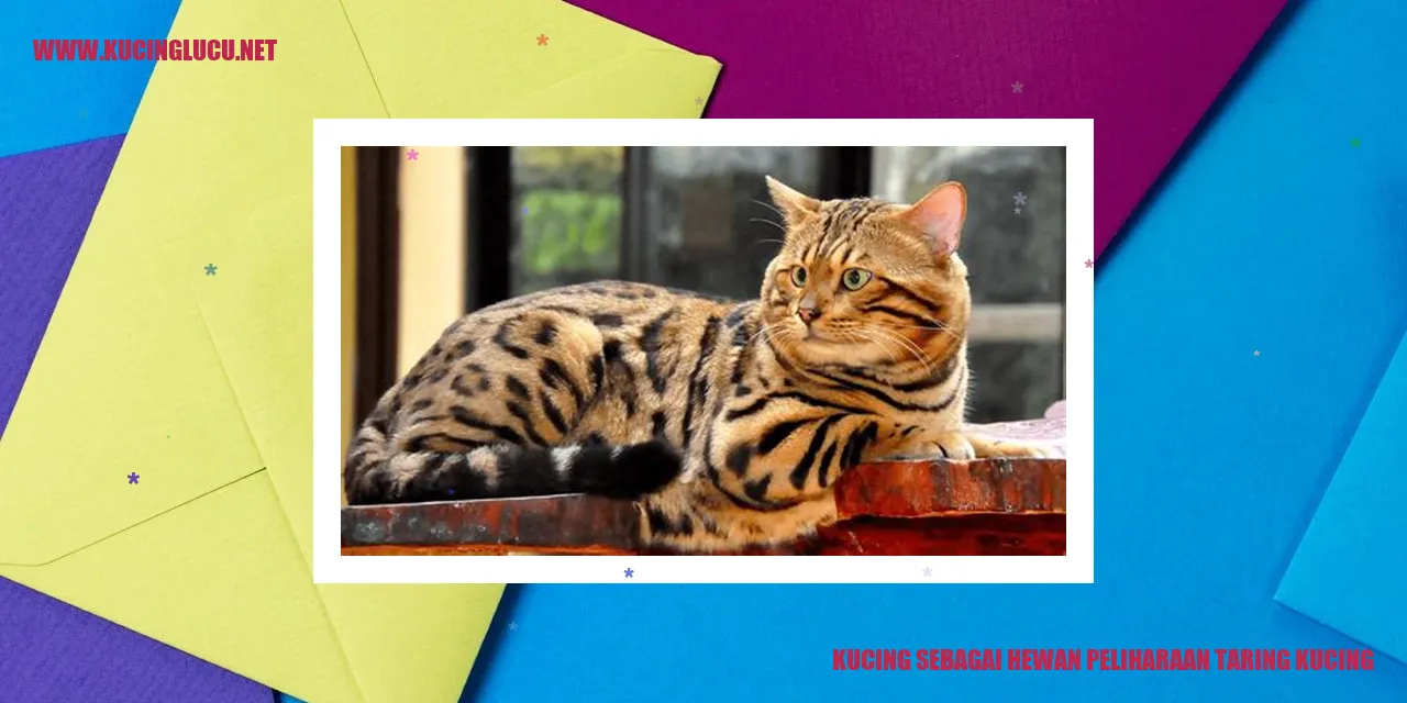 Gambar Kucing yang Menggemaskan