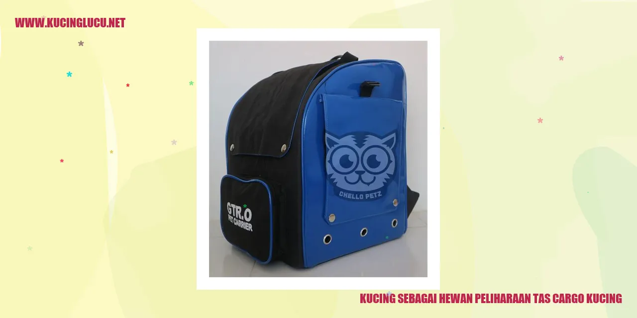Kucing Hewan Peliharaan