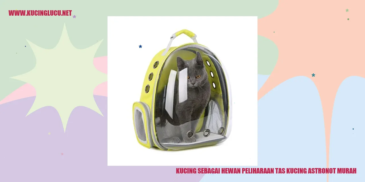 kucing astronot murah