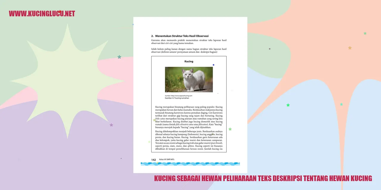 Kucing sebagai Teman Setia di Rumah