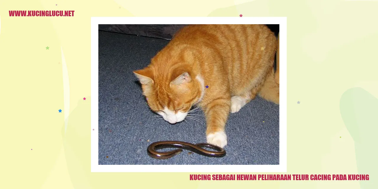 gambar kucing yang menggemaskan