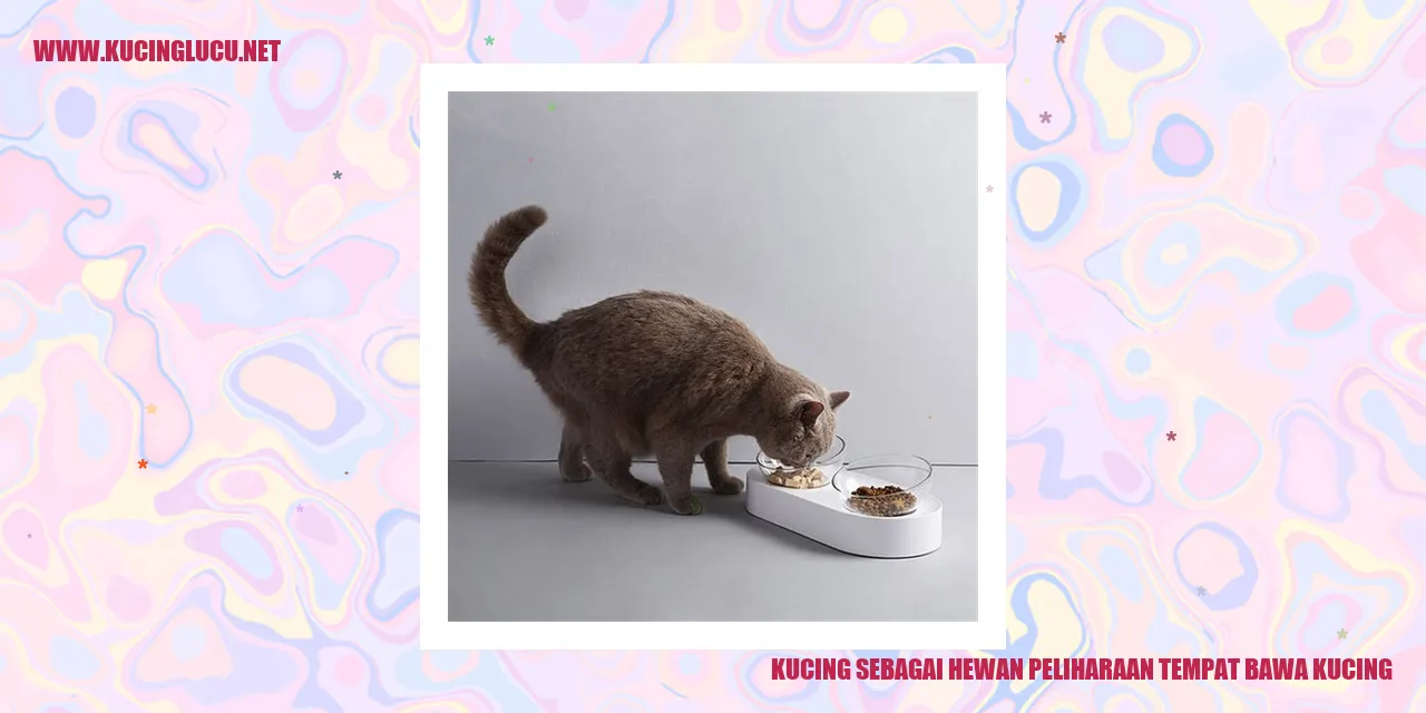 Gambar Kucing yang Menggemaskan