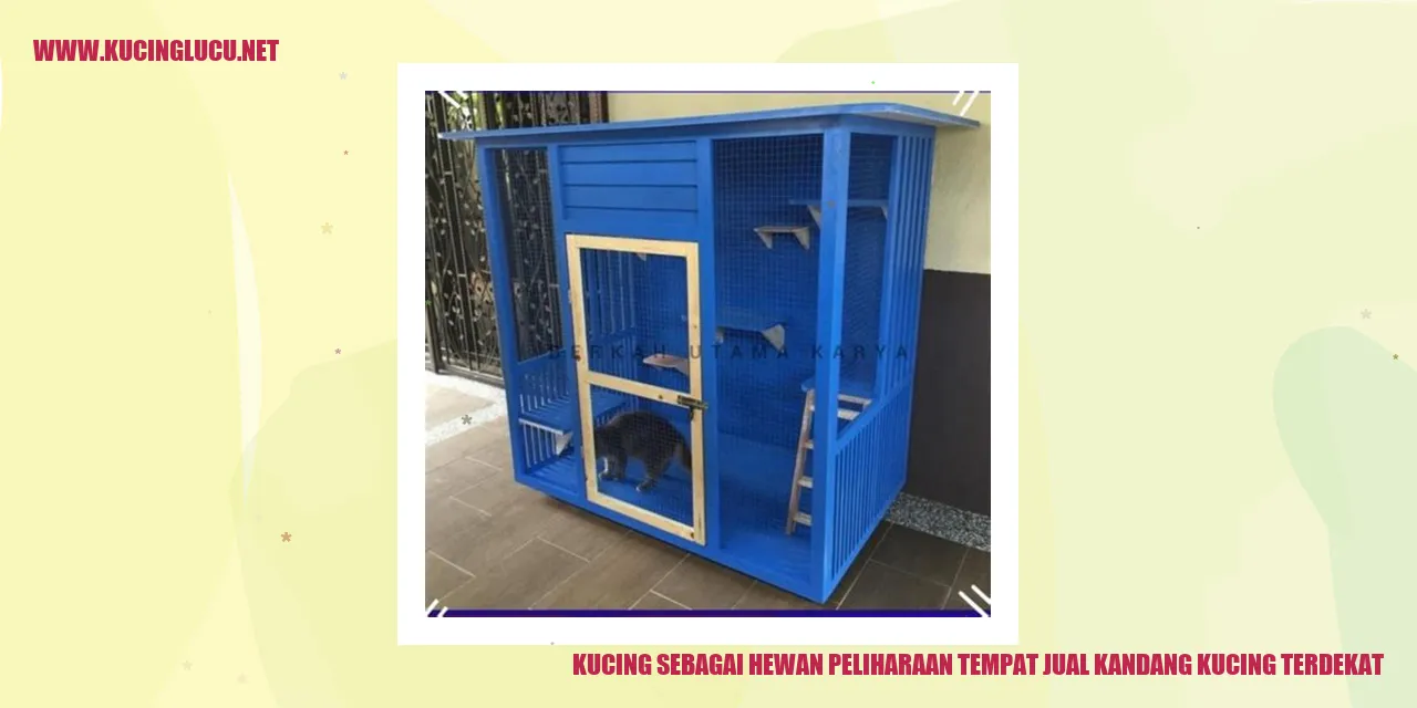 Kucing sebagai Hewan Peliharaan