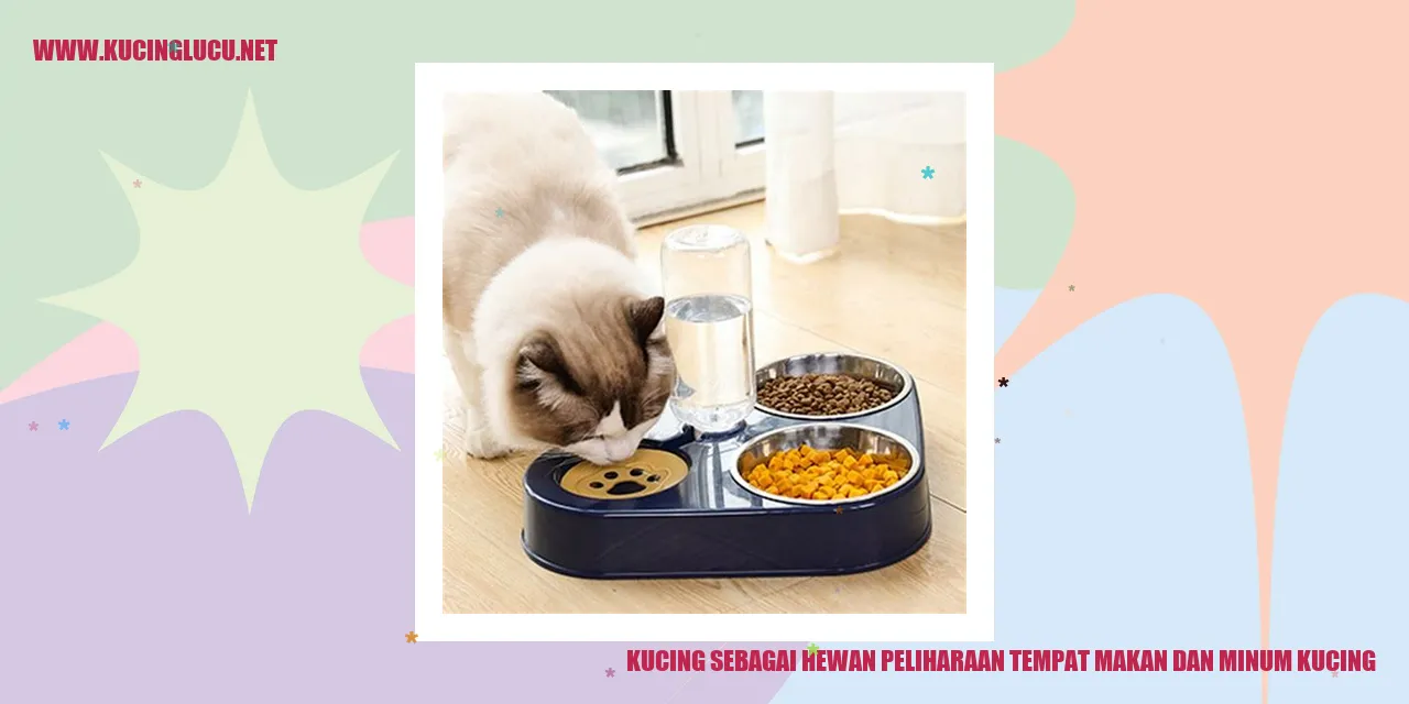 Kucing sebagai Hewan Peliharaan: Tempat Pemberian Makan dan Minum Kucing