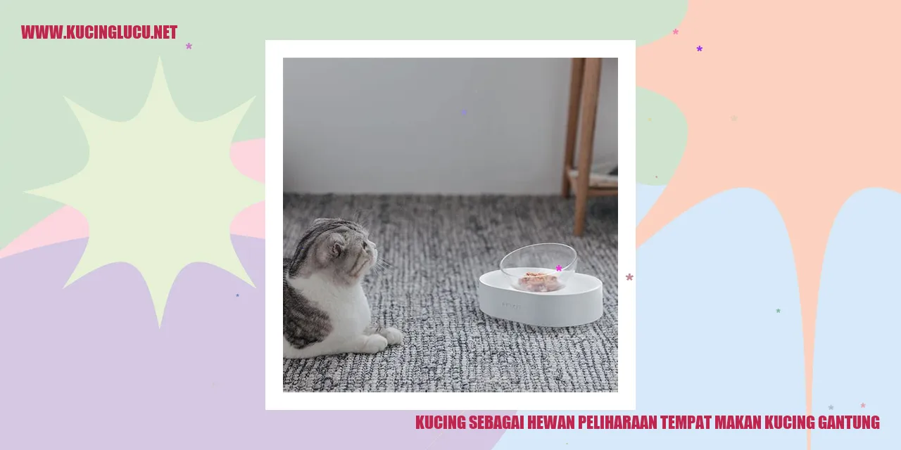 Gambar kucing