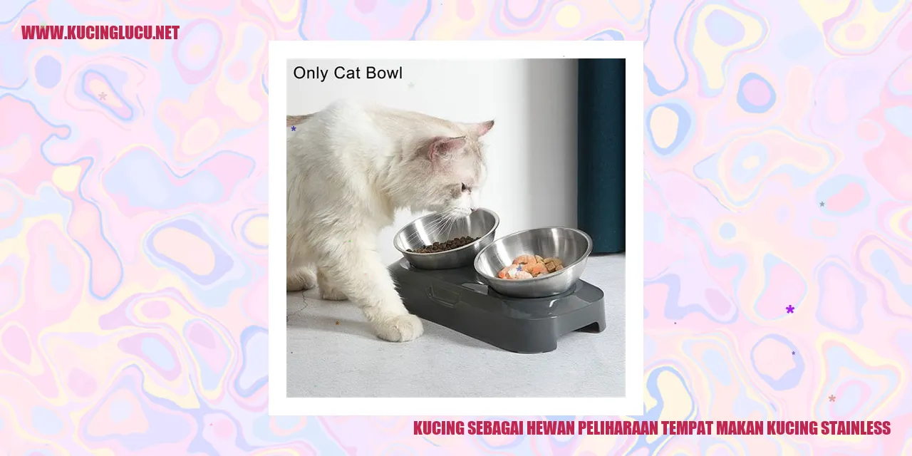 Kucing menggunakan tempat makan stainless