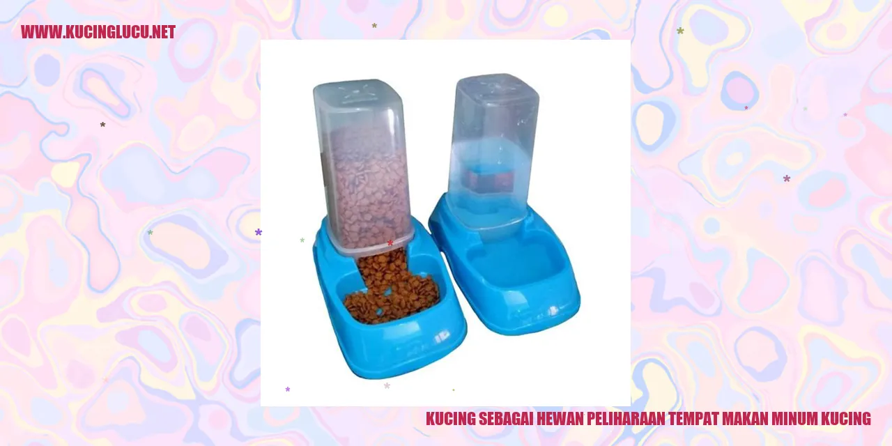 Gambar Kucing Yang Lucu