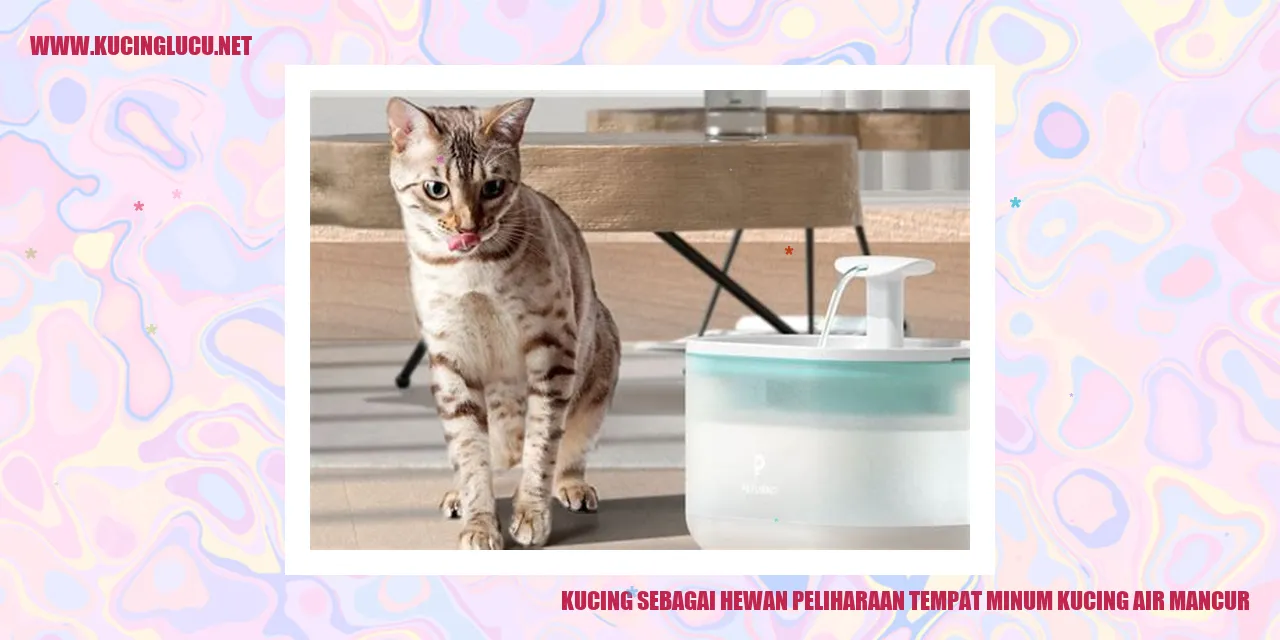 Gambar kucing sedang minum dari air mancur