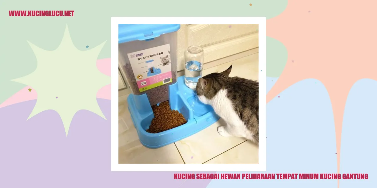 Kucing minum