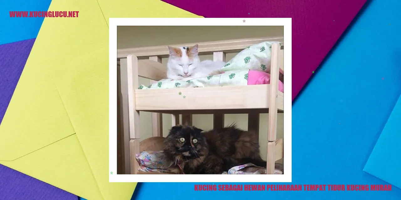 Kucing sedang tidur di tempat tidurnya