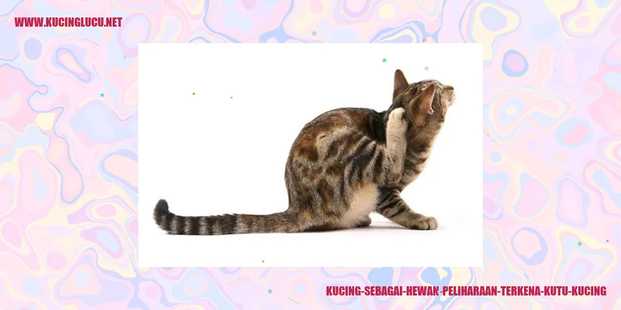 Gambar kucing peliharaan yang terinfeksi kutu