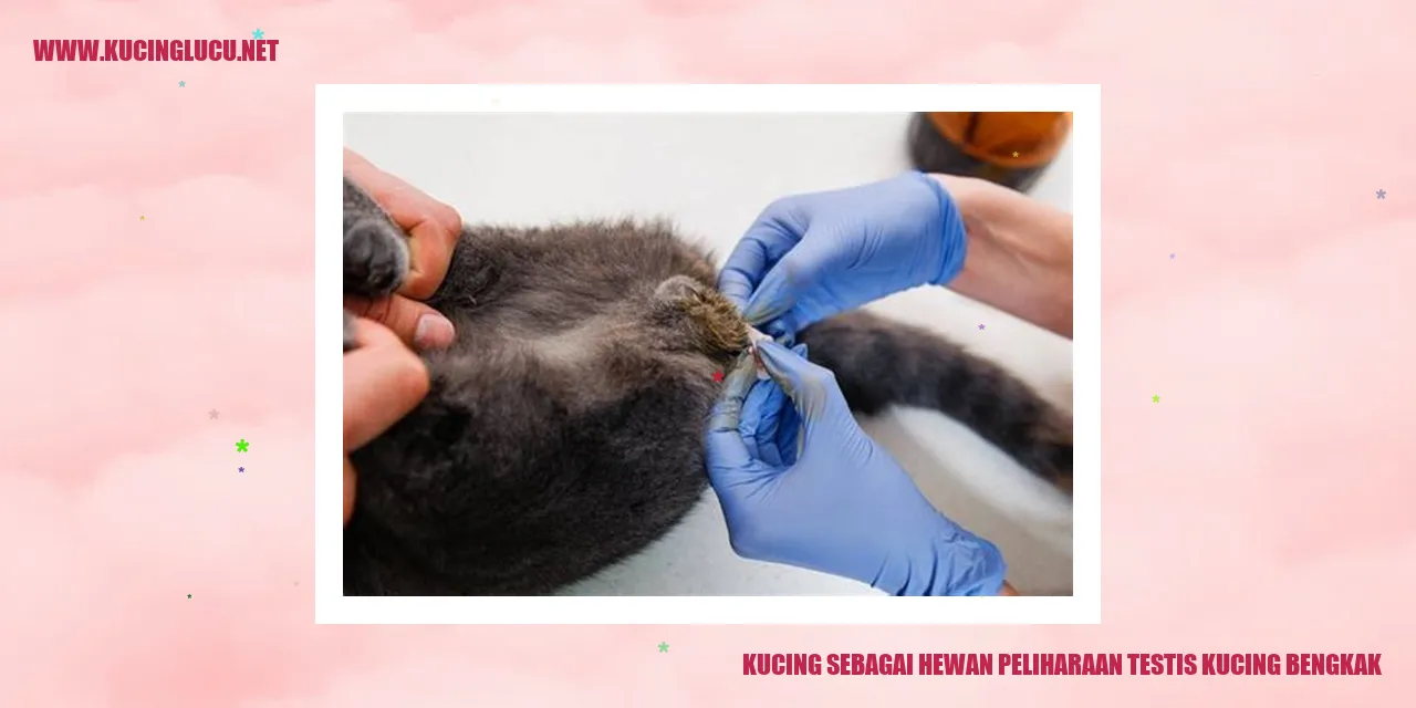 Kucing Sebagai Hewan Peliharaan