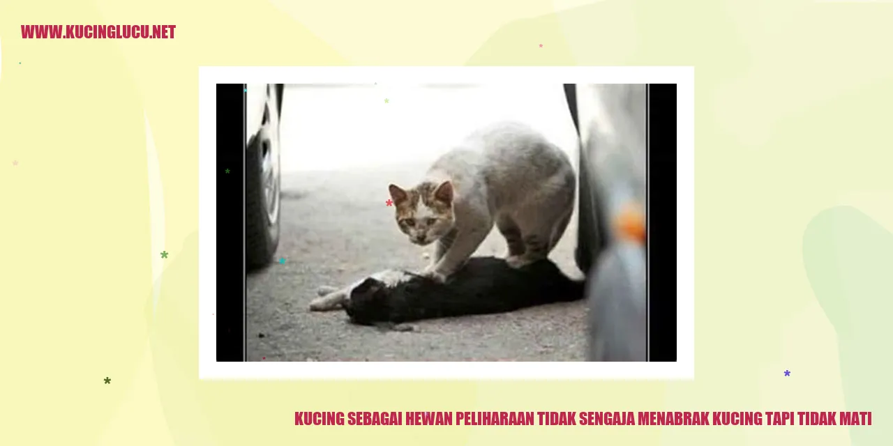 Gambar Kucing