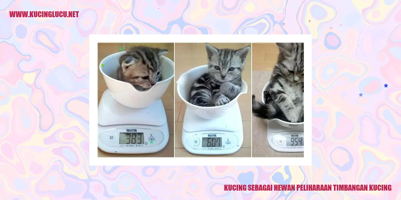 Foto Menggemaskan Kucing