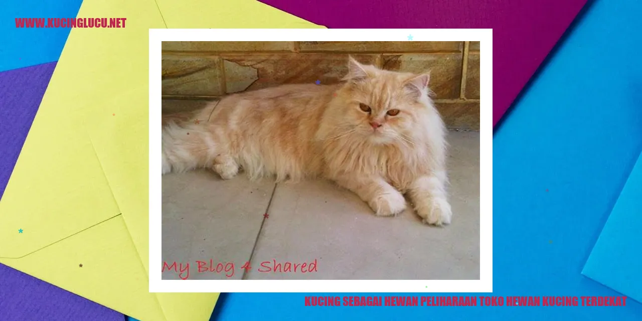 Kucing sebagai Hewan Peliharaan