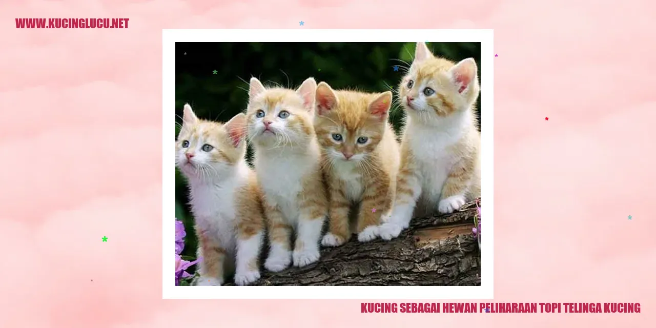 Gambar Kucing