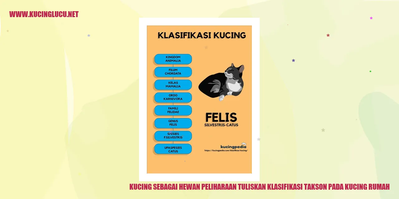 Kucing Sebagai Hewan Peliharaan