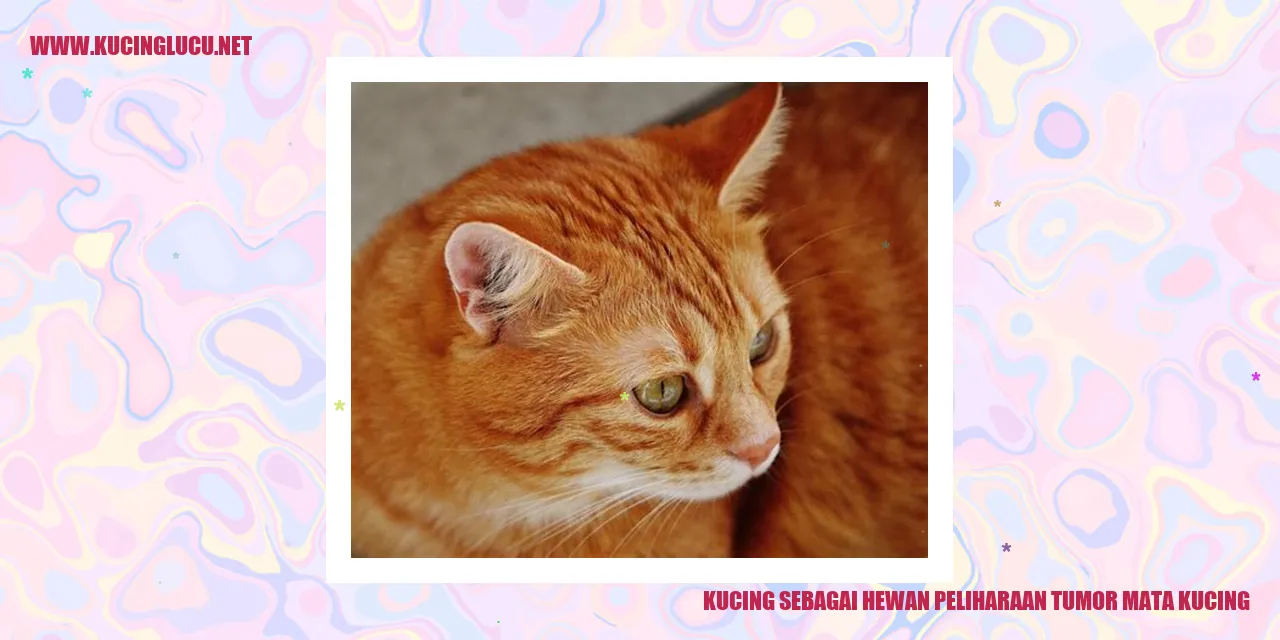 gambar tumor mata kucing