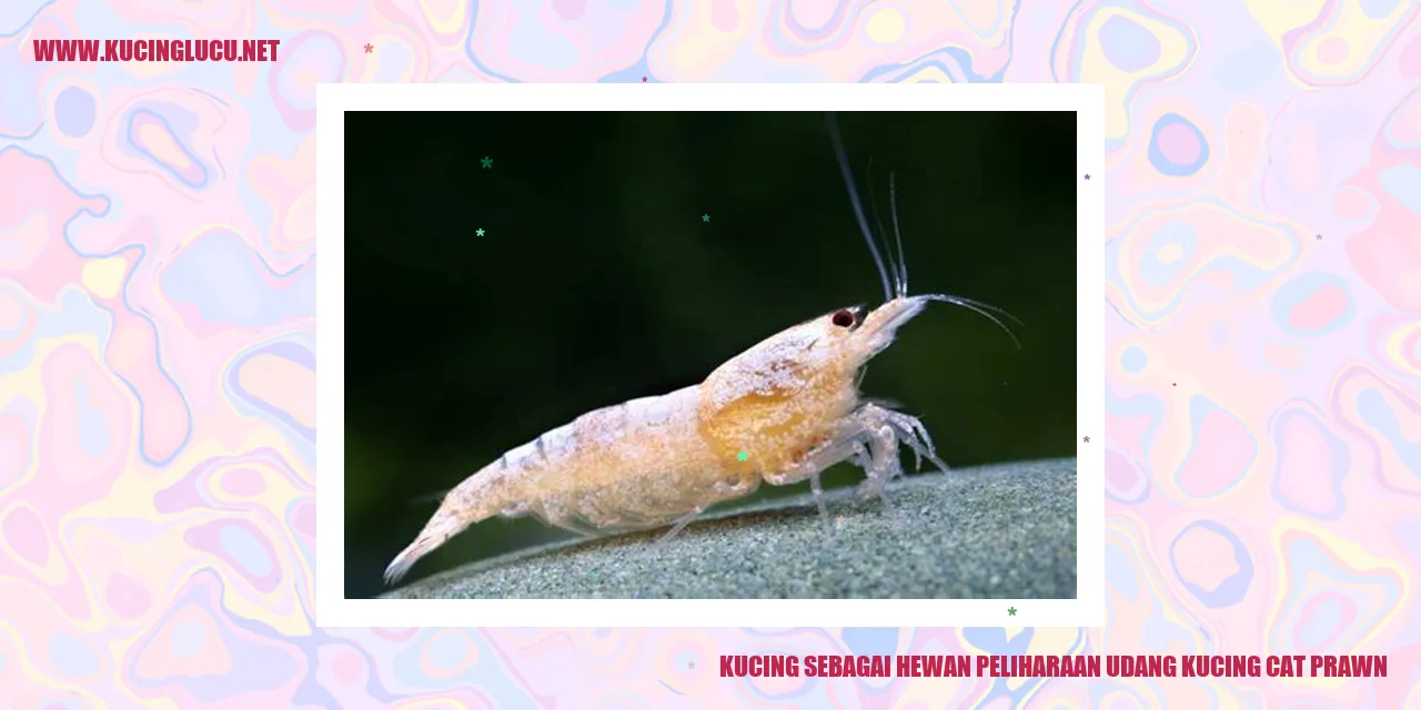 Kucing sebagai Hewan Peliharaan