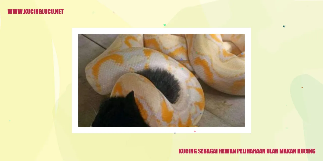 Foto Kucing Menggemaskan