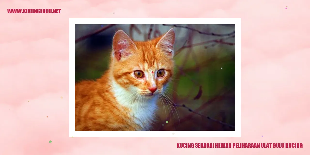 Foto kucing menggemaskan