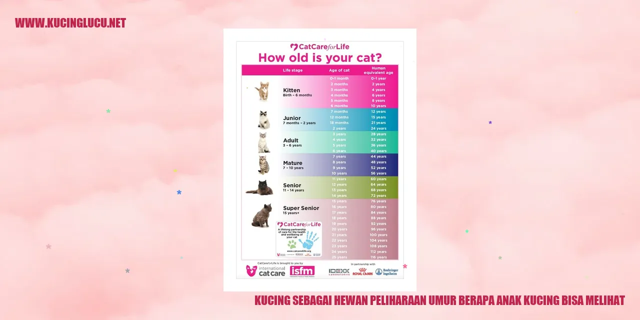 Gambar Kucing Menggemaskan
