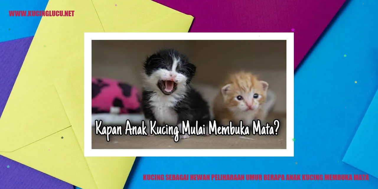 Gigih Wahyu Ardi