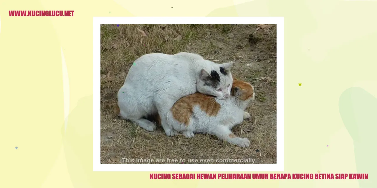 Kucing sebagai Hewan Peliharaan