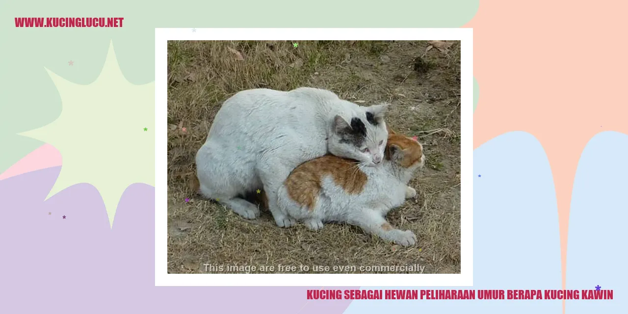 Gambar Kucing sebagai Hewan Peliharaan