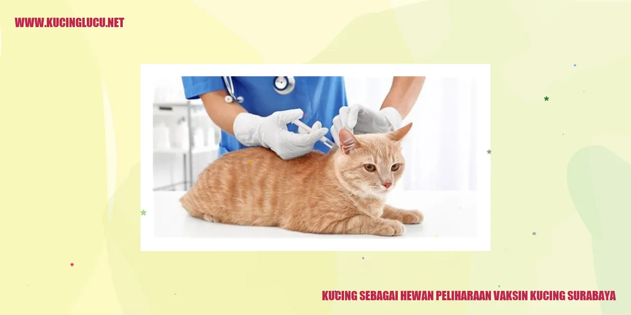 Kucing sebagai Hewan Peliharaan