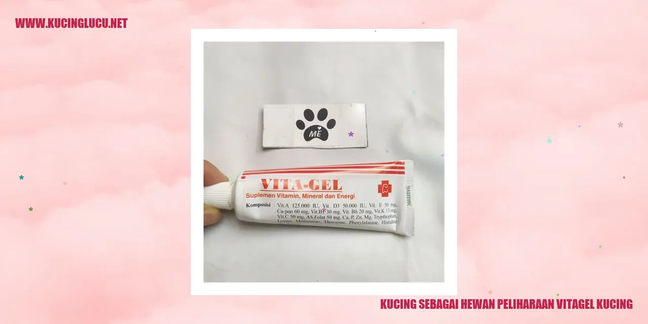 Kucing Menggemaskan