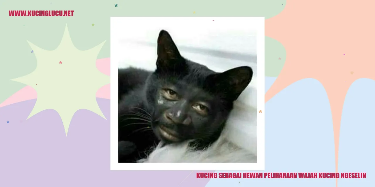 Sebuah gambar kucing menghadap ke kamera dengan wajah yang lucu dan menggemaskan.
