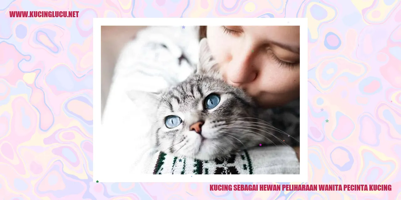 Gambar Kucing