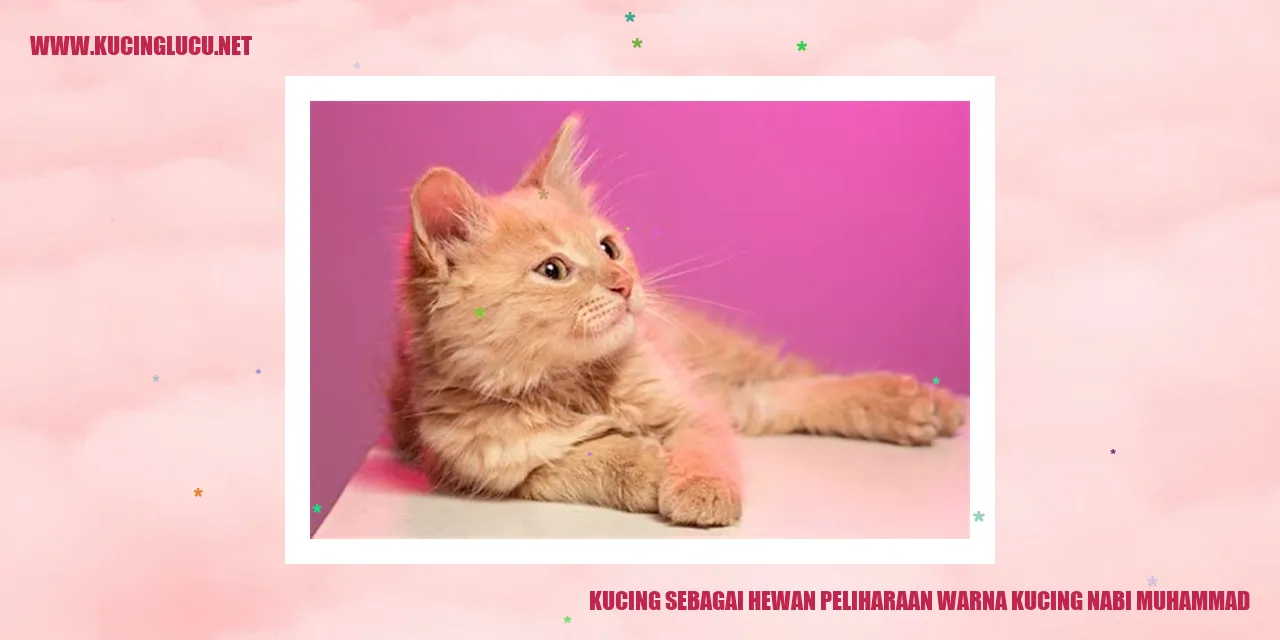 Potret Memukau Kucing