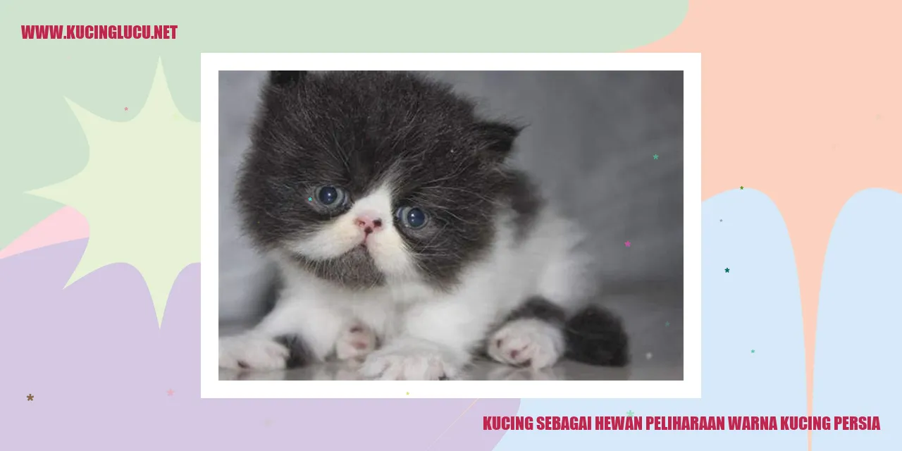 Kucing Persia Peliharaan