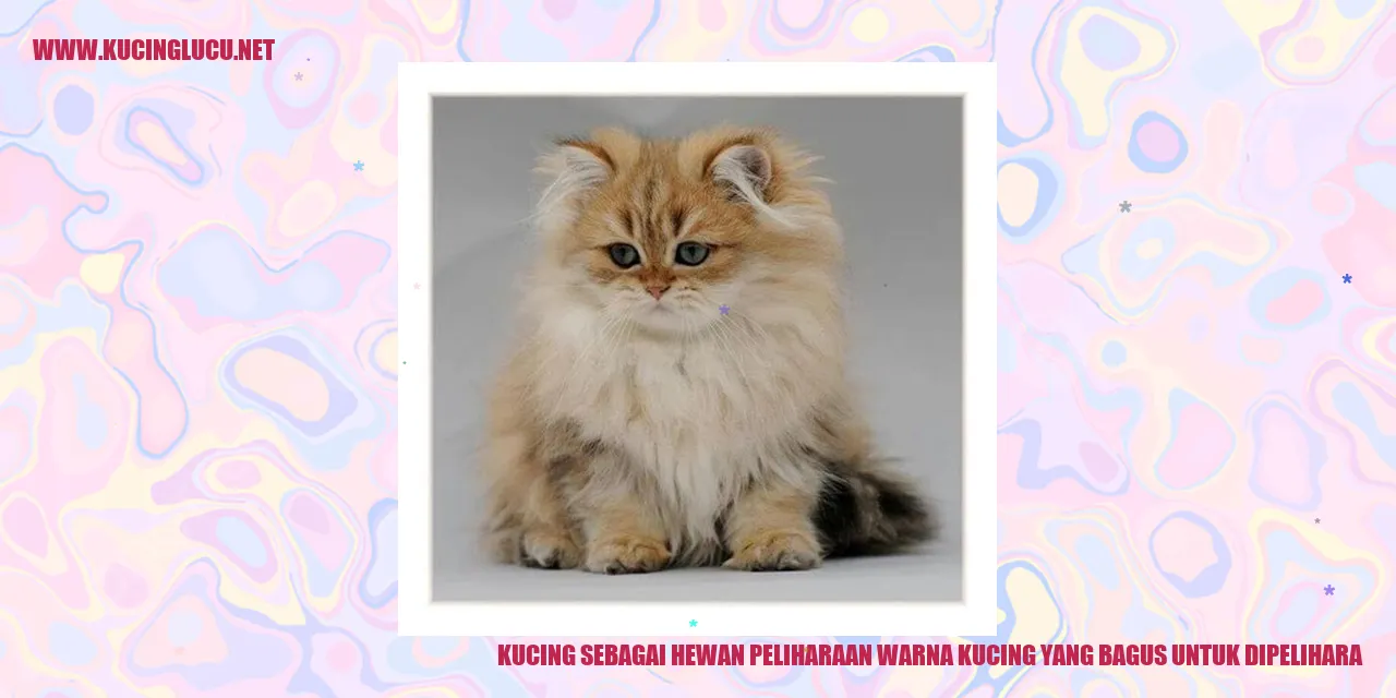Kucing warna lucu