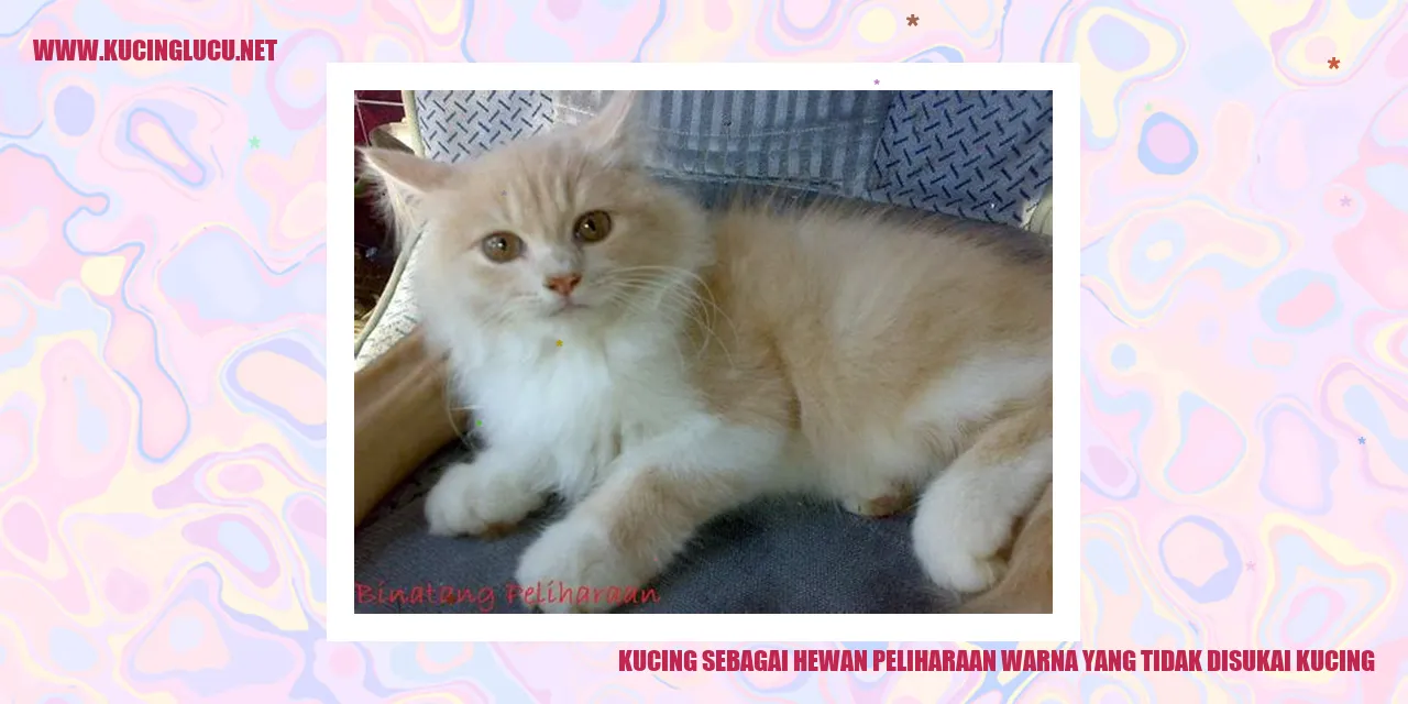 Gambar Kucing dengan Warnanya yang Kurang Disukai