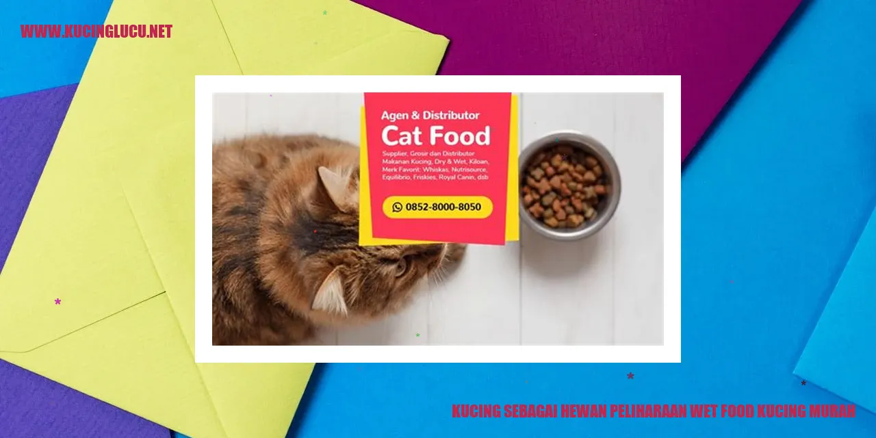 Gambar Kucing Menggemaskan