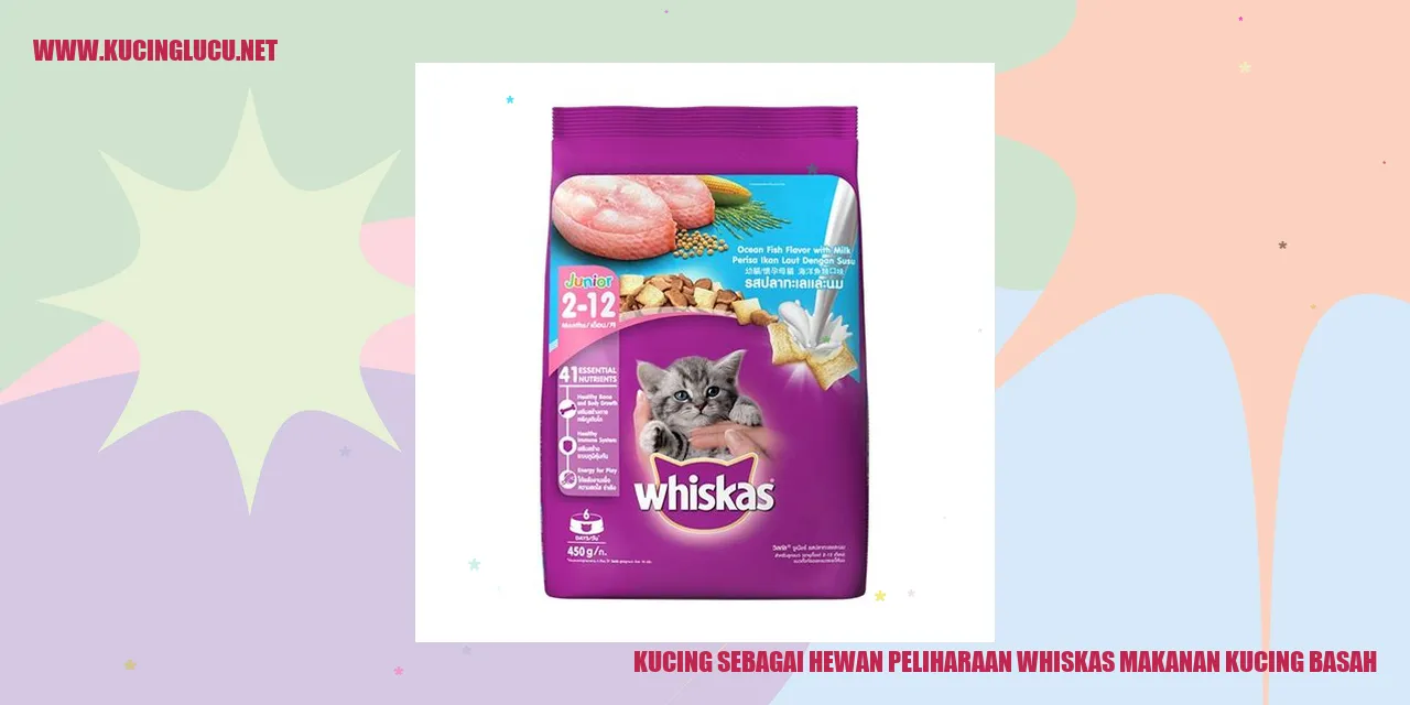 Gambar Kucing