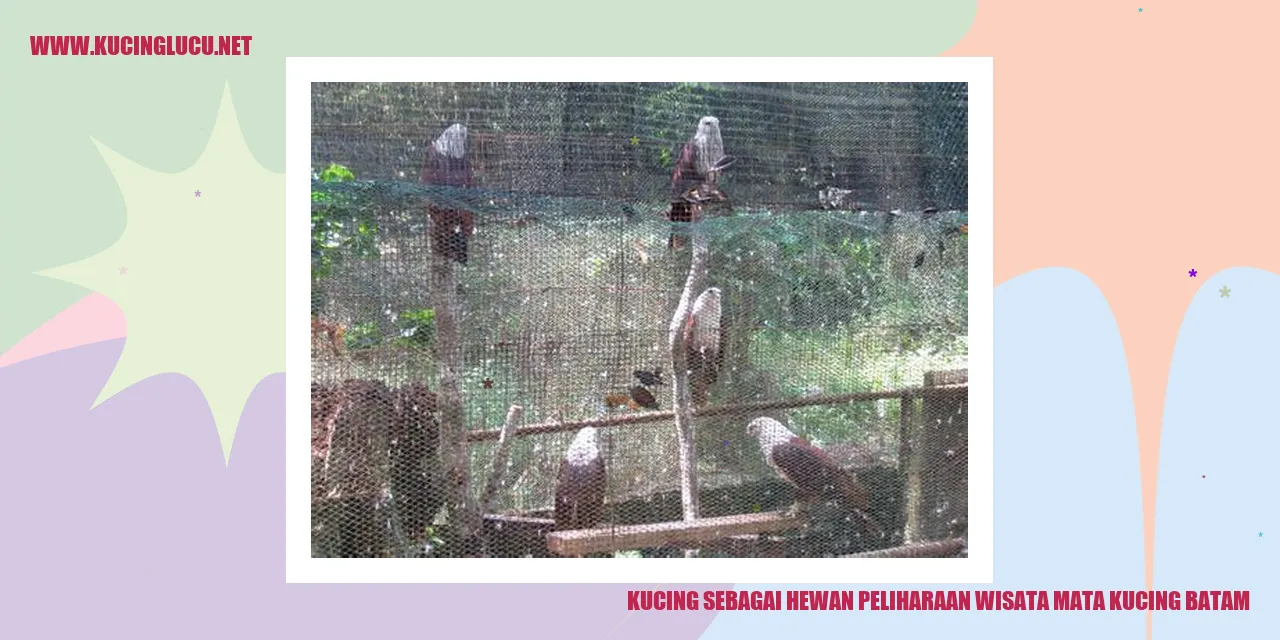 Kucing sebagai Hewan Peliharaan