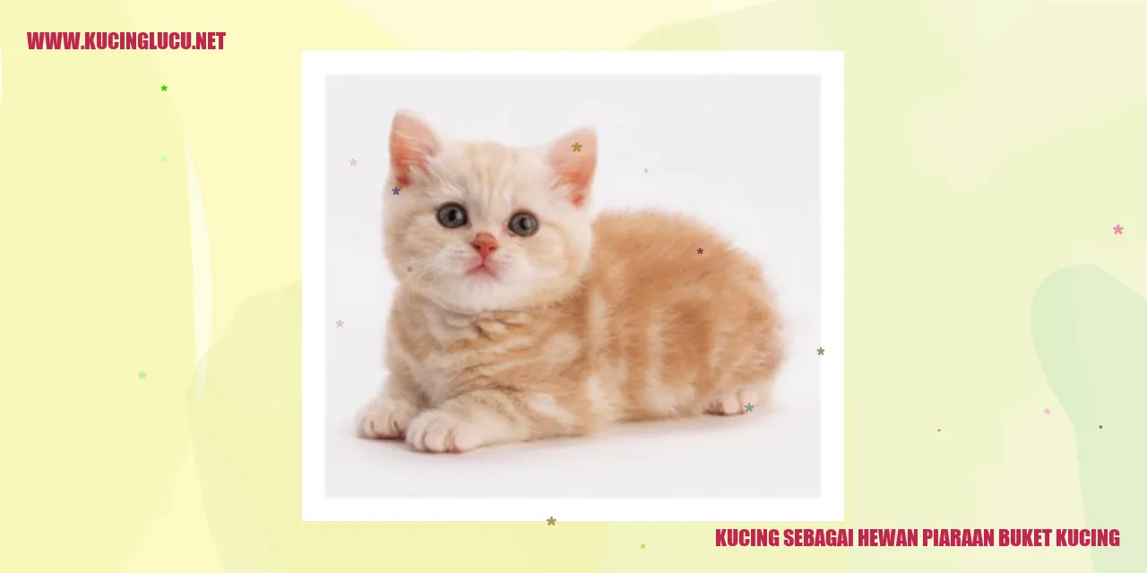 Kucing sebagai Hewan Piaraan buket kucing