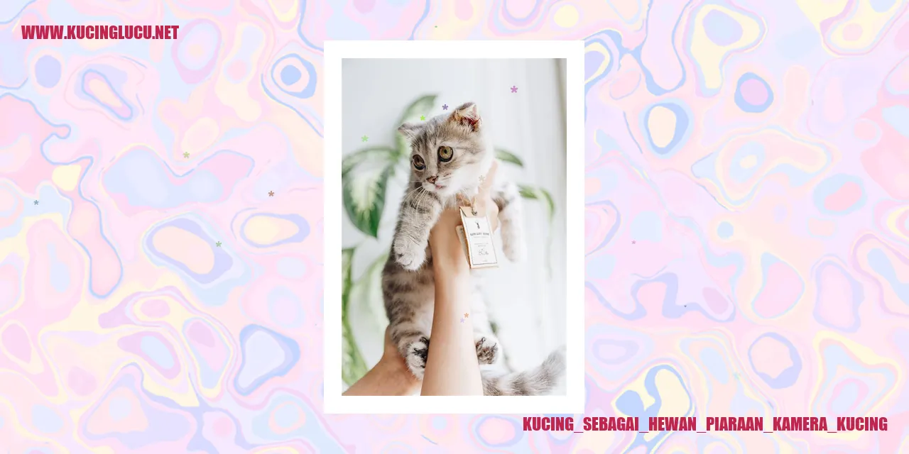 Kucing_sebagai_Hewan_Piaraan